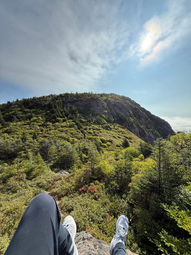 Accepted the quest. Best seat in the office